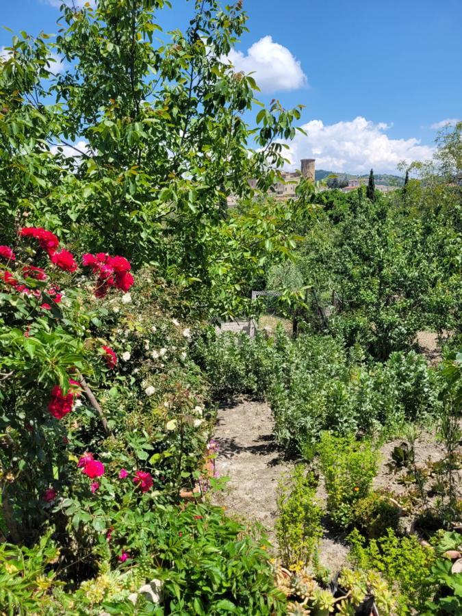 Apartamento Ampia Casa Ecofriendly vista Borgo IO SONO QUI Tricarico Exterior foto