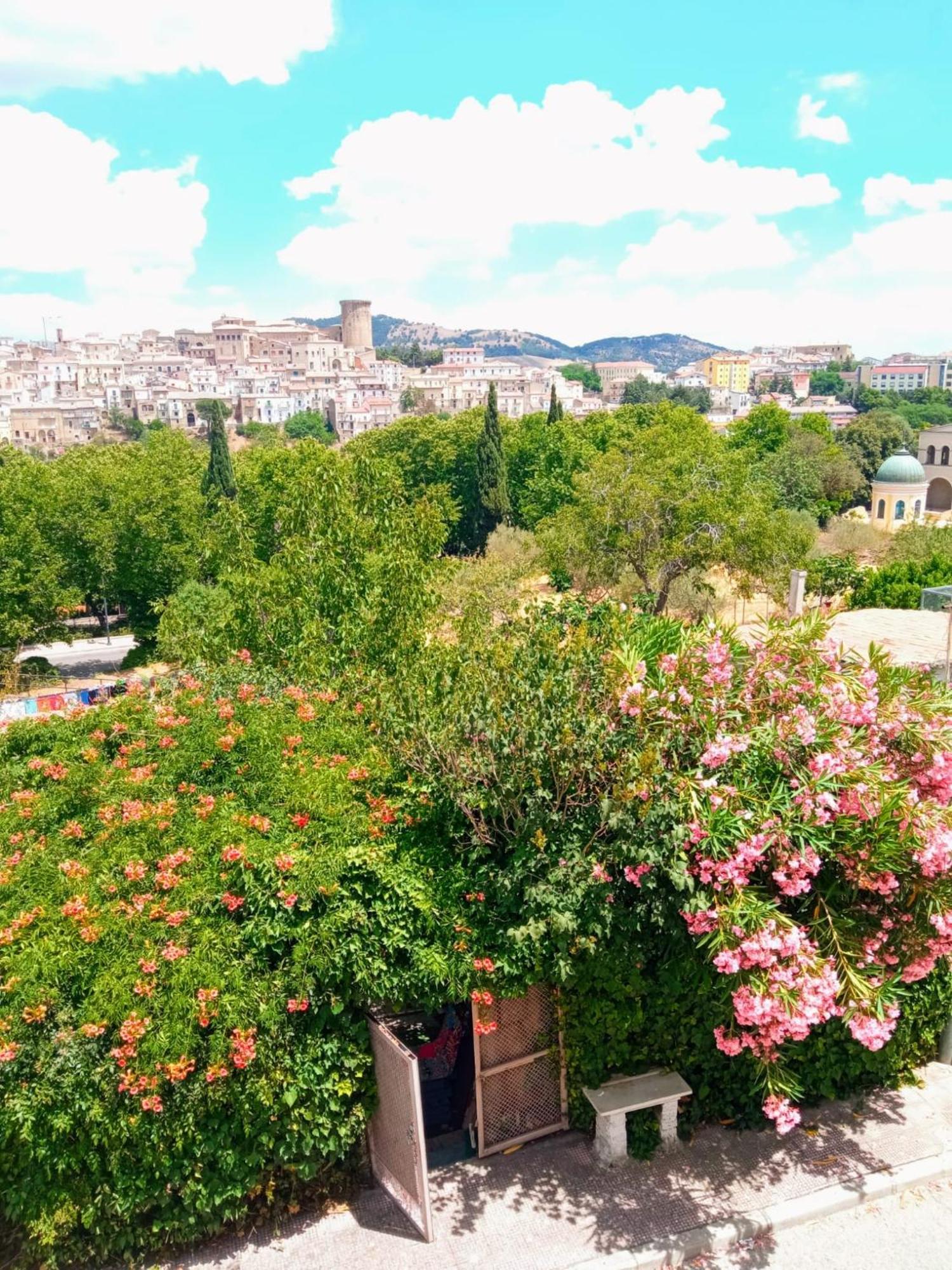Apartamento Ampia Casa Ecofriendly vista Borgo IO SONO QUI Tricarico Exterior foto